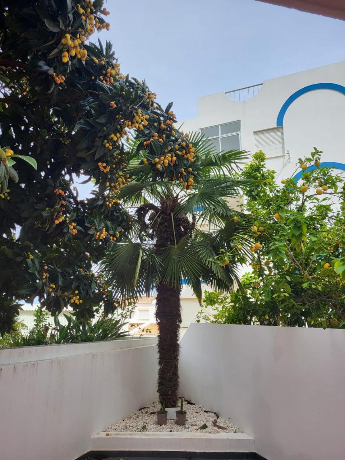 HostelccPortimão Εξωτερικό φωτογραφία